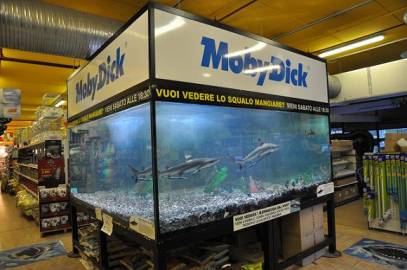 Moby Dick L'Acquario