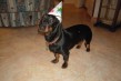 Ettore al suo primo compleanno (3)